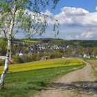 Blick auf Meinersdorf