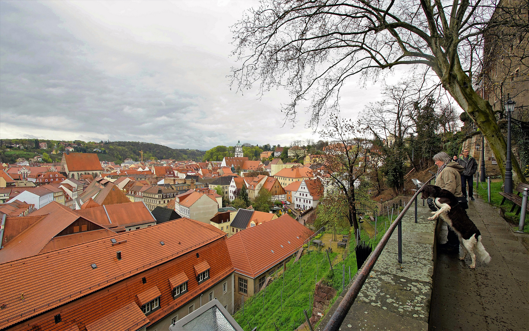 Blick auf Meißen