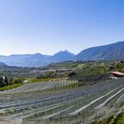 Blick auf Meran - in der Zeit der Apfelernte