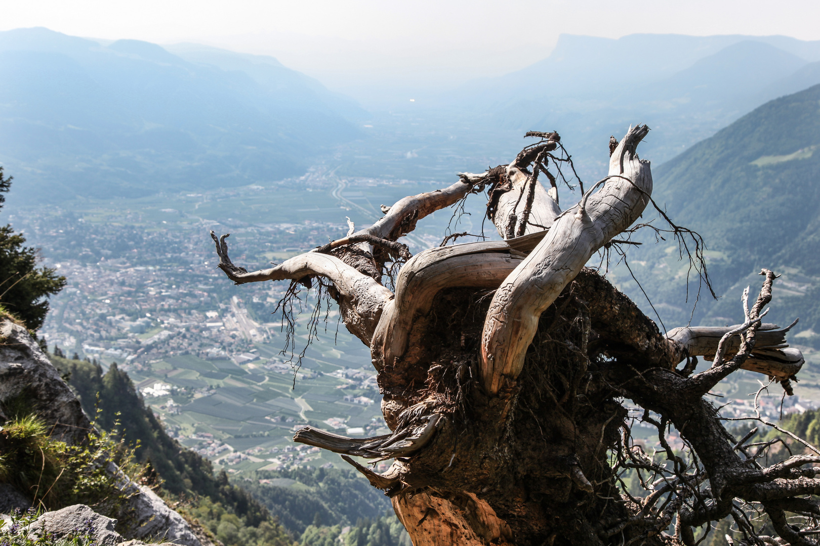 Blick auf Meran - ok, ein bisschen Holz im Weg...