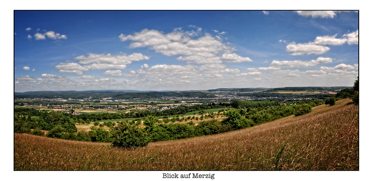 Blick auf Merzig (Pano)