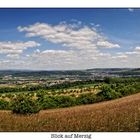 Blick auf Merzig (Pano)