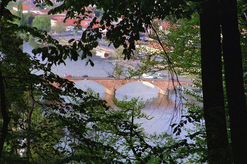 Blick auf Miltenberg