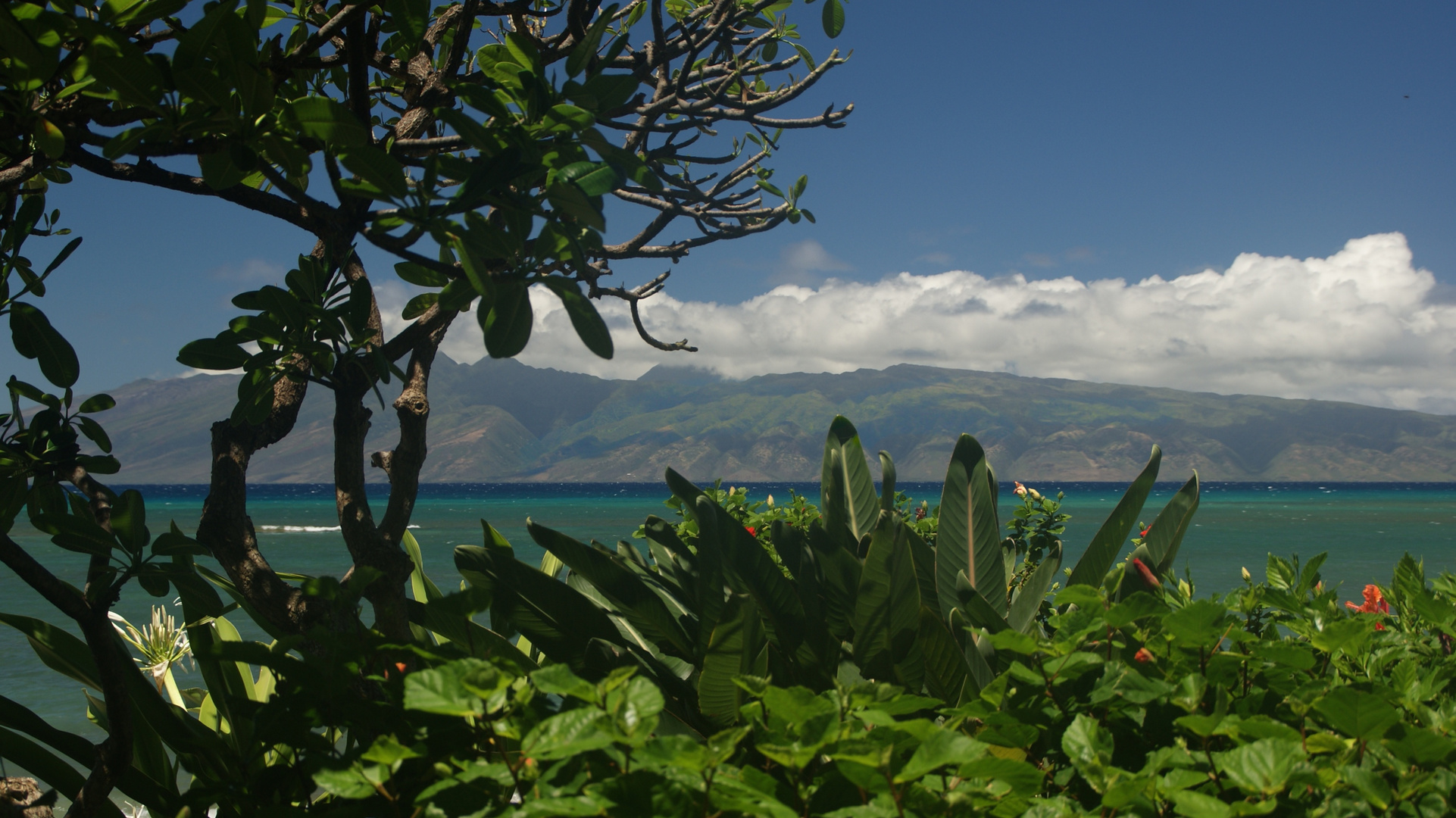 Blick auf Moloka'i