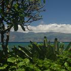 Blick auf Moloka'i