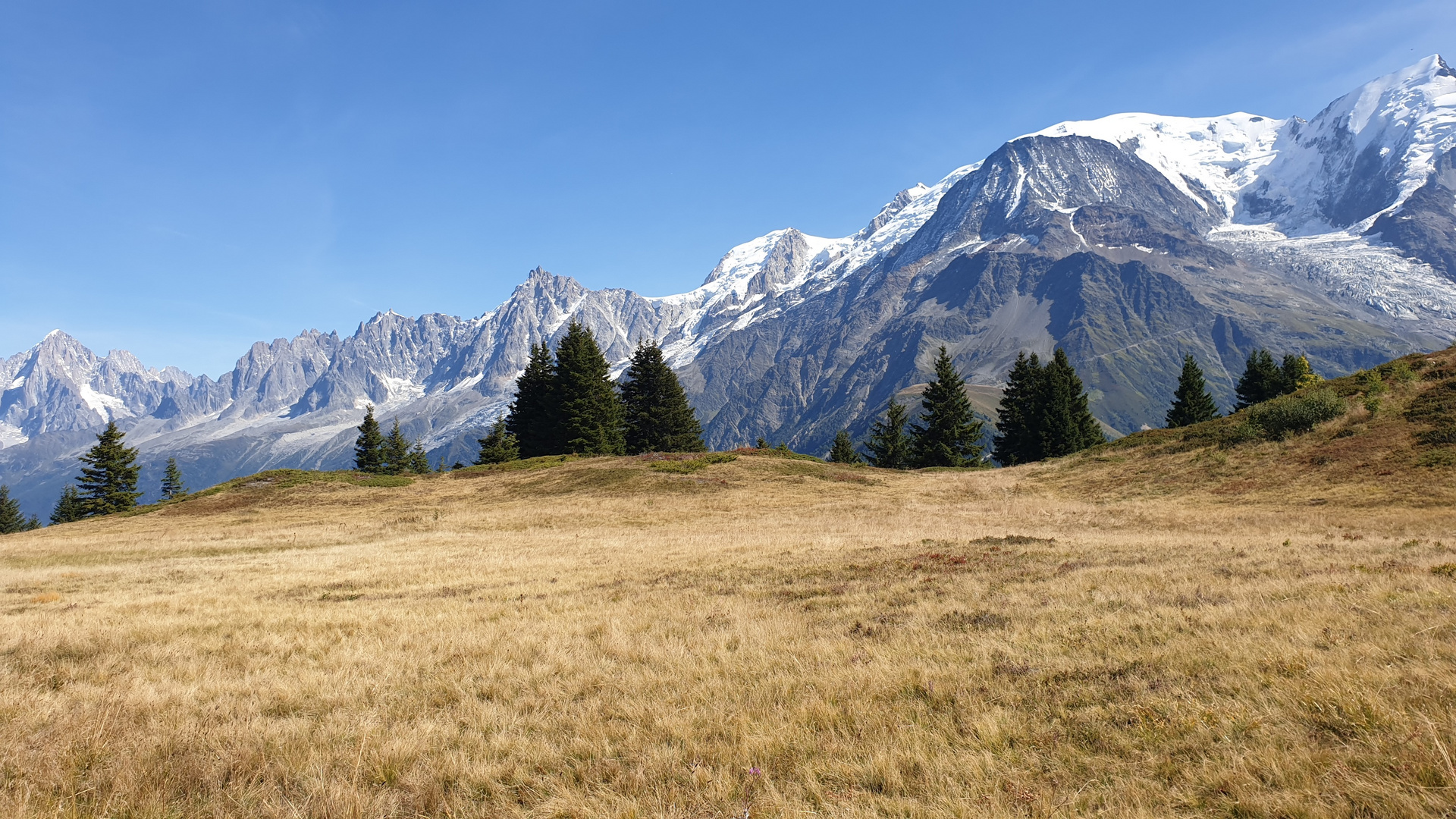 Blick auf Mont Blanc