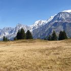 Blick auf Mont Blanc