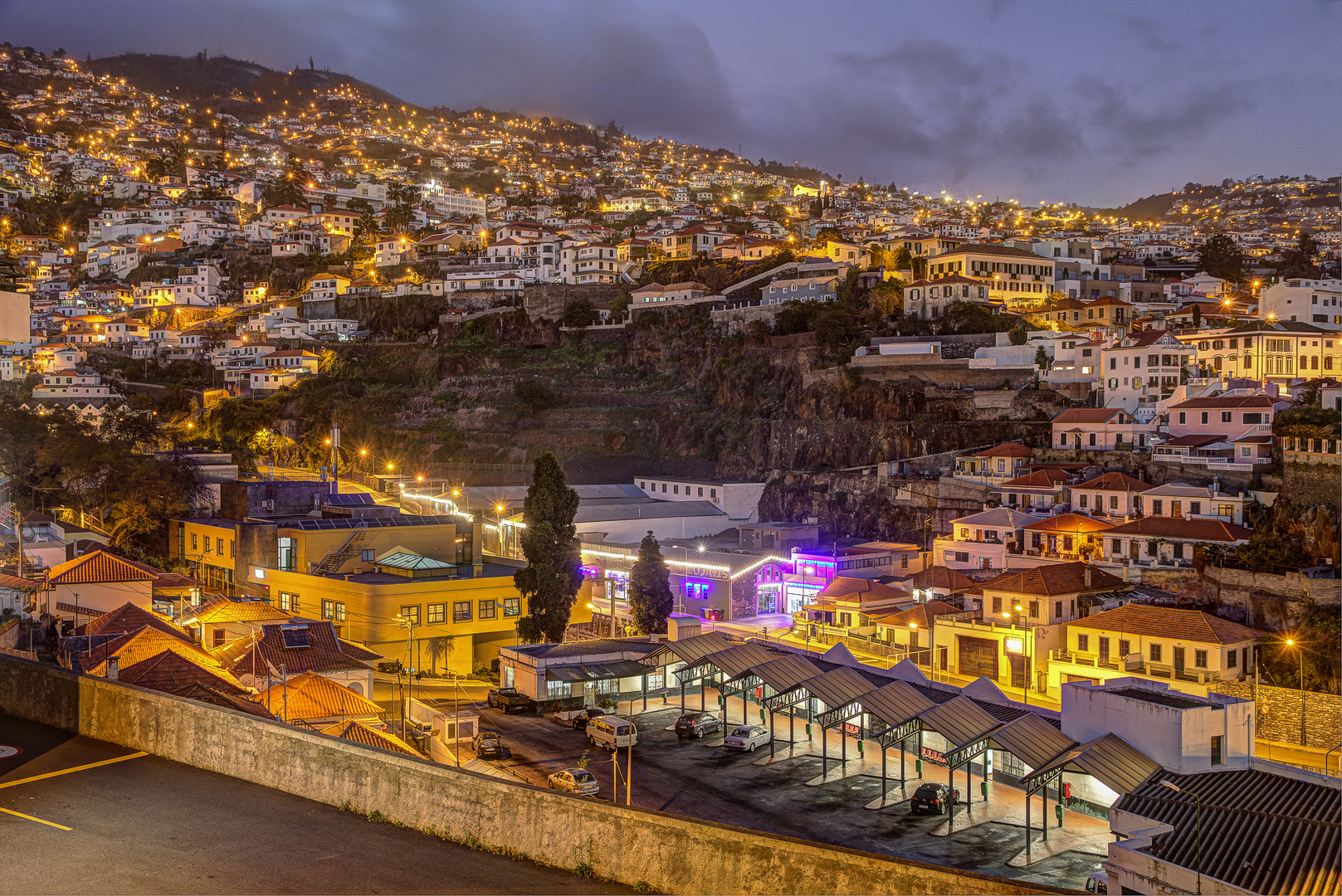 Blick auf Monte, Funchal