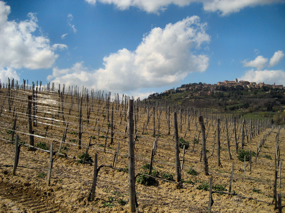 Blick auf Montepulciano