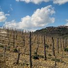 Blick auf Montepulciano