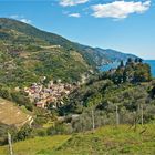 Blick auf Monterosso al Mare