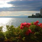 blick auf montreux