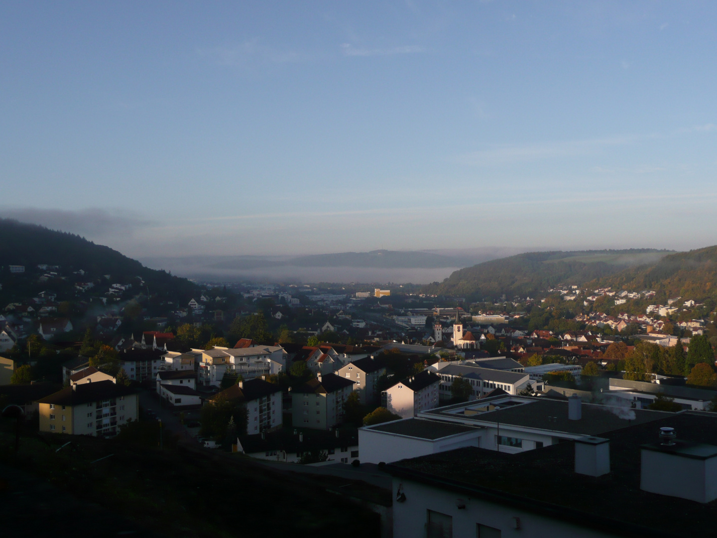 Blick auf Mosbach