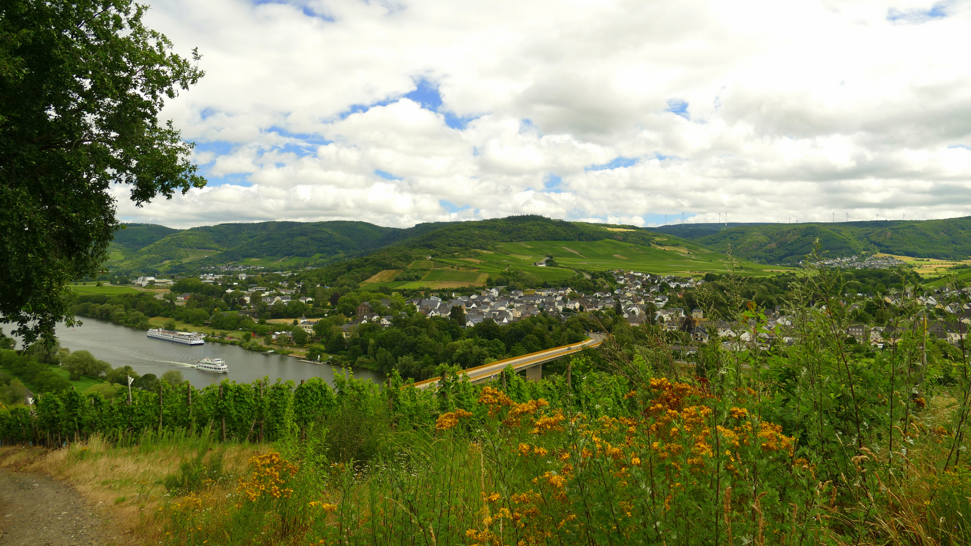 °°°° Blick auf Mülheim/Mosel °°°°