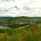 °°°° Blick auf Mülheim/Mosel °°°°