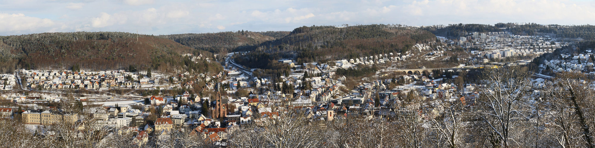 Blick auf Nagold