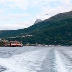 Blick auf Narvik