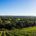 Blick auf Naumburg