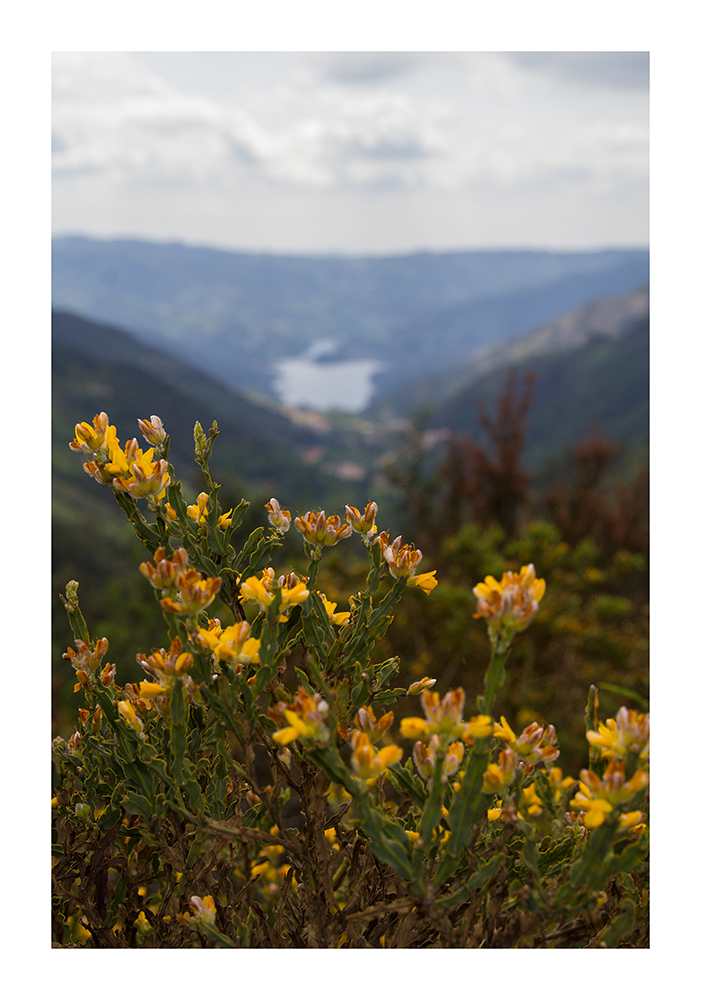 Blick auf nen Stausee