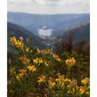 Blick auf nen Stausee