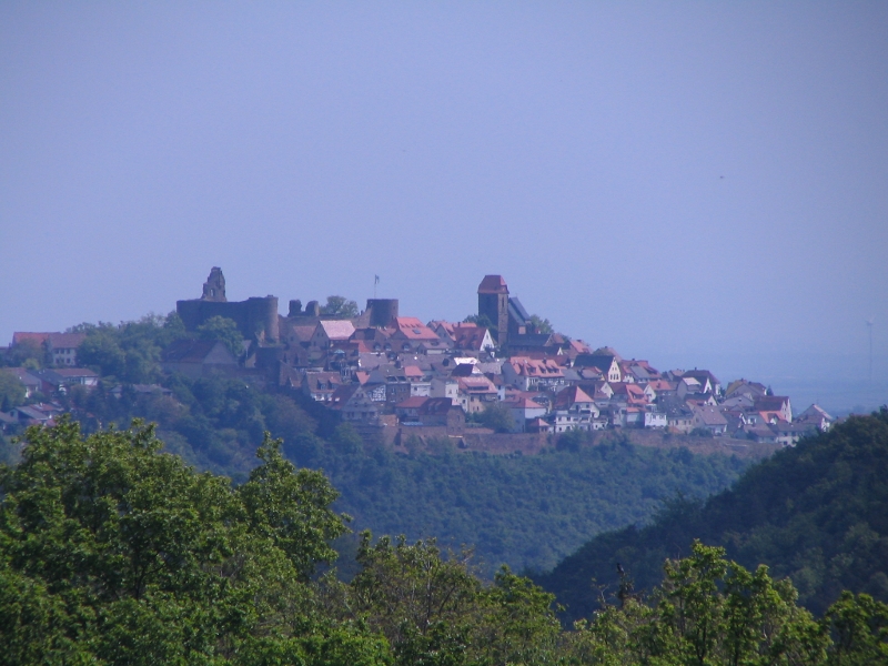 Blick auf Neu Leiningen