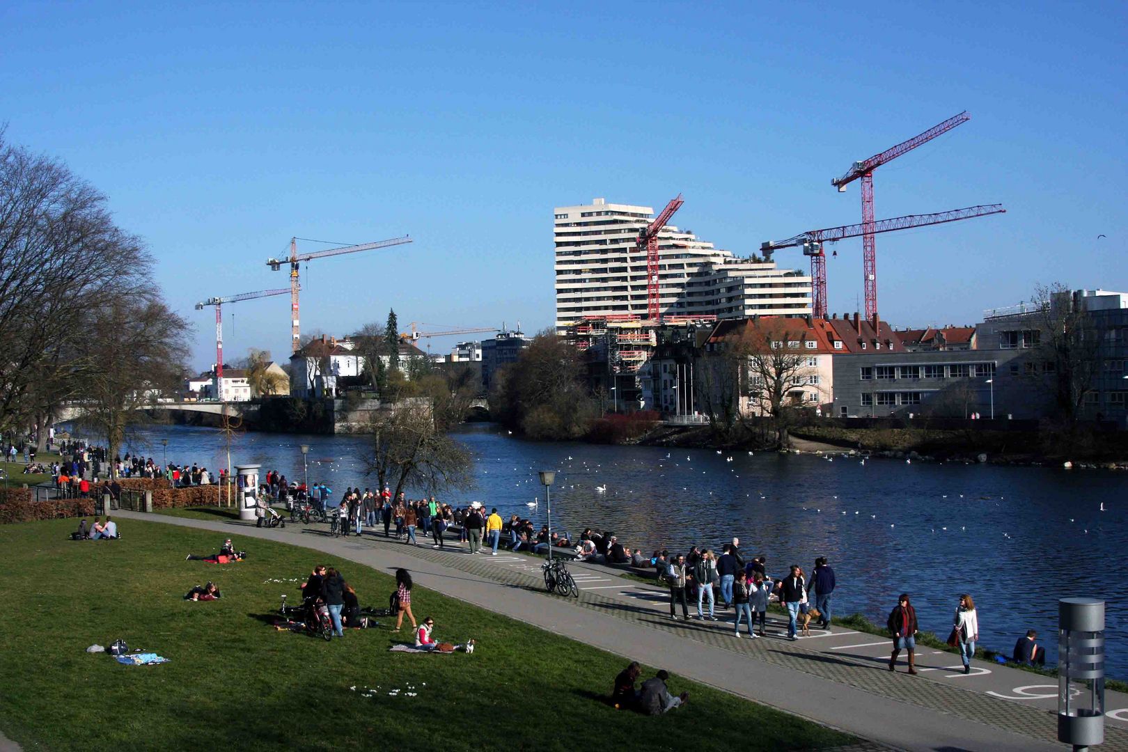 Blick auf Neu-Ulm von der Ulmer Donau