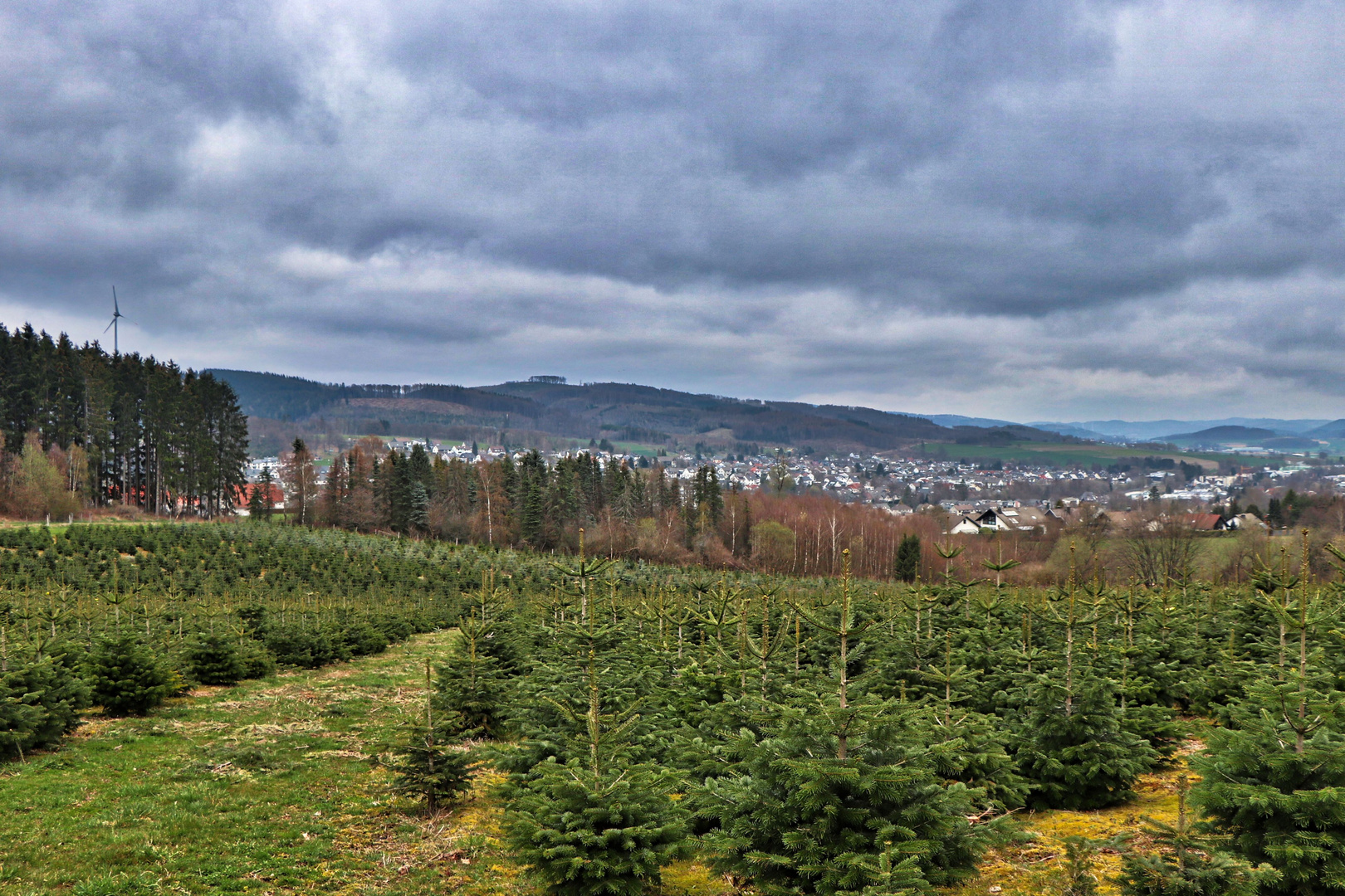 Blick auf Neuenrade