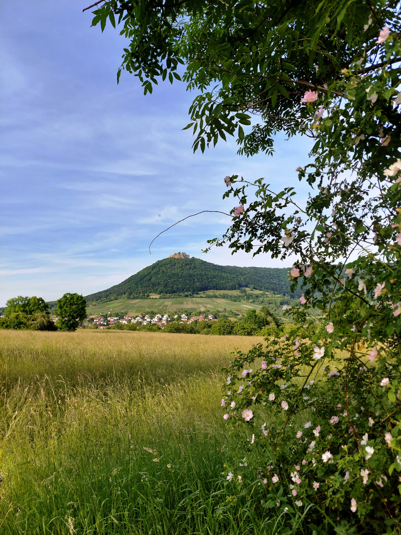 Blick auf Neuffen und Hohenneuffen