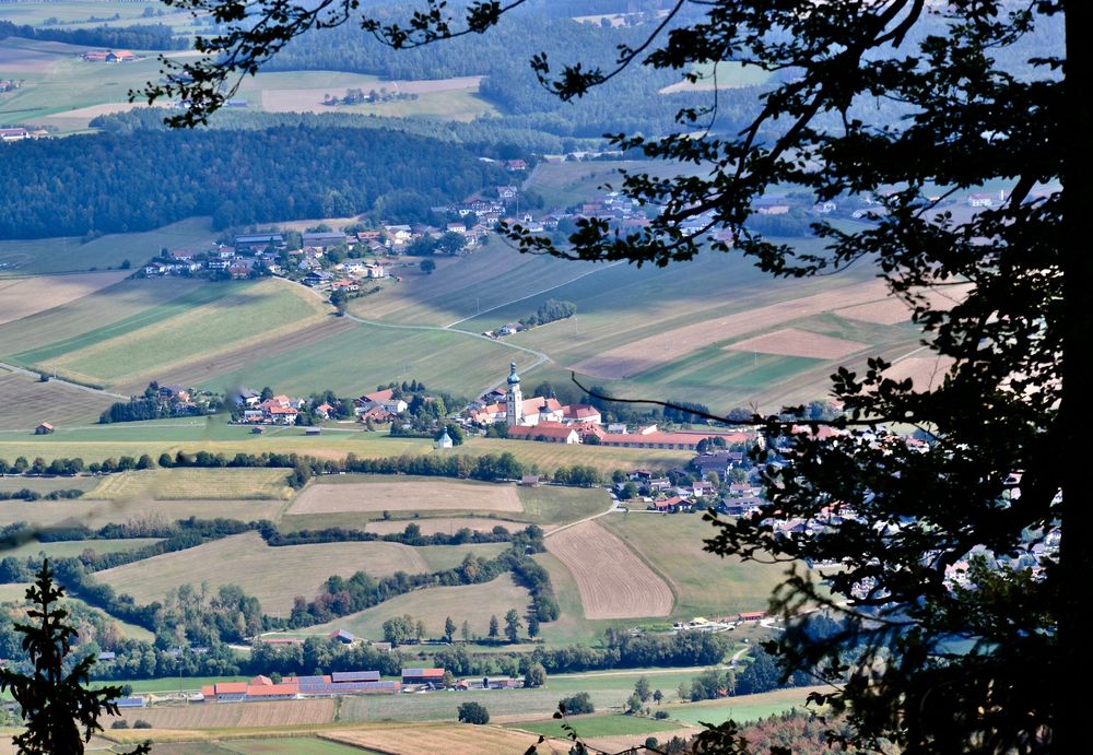 Blick auf Neukirchen b. Hl. Blut mit Vordergrund (2)