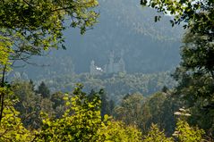 Blick auf Neuschwanstein