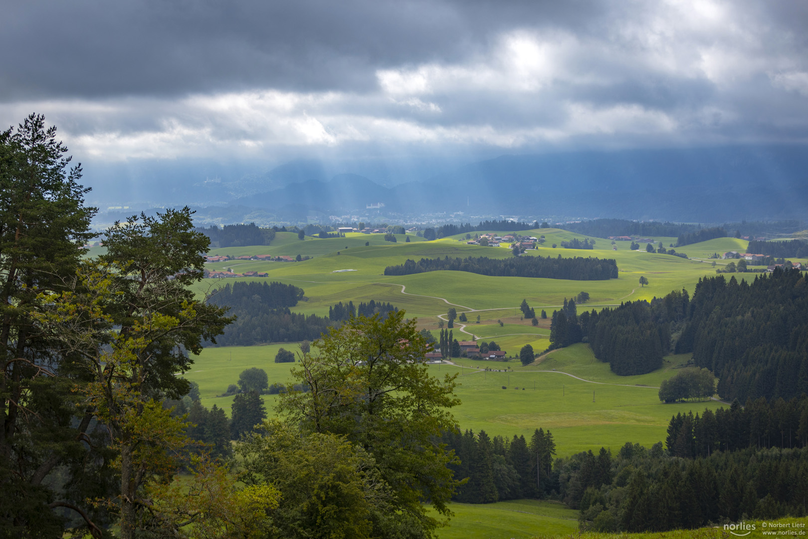 Blick auf Neuschwanstein