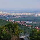 Blick auf Neustadt an der Weinstraße