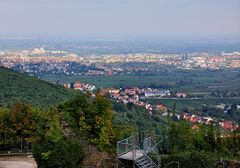 Blick auf Neustadt an der Weinstraße