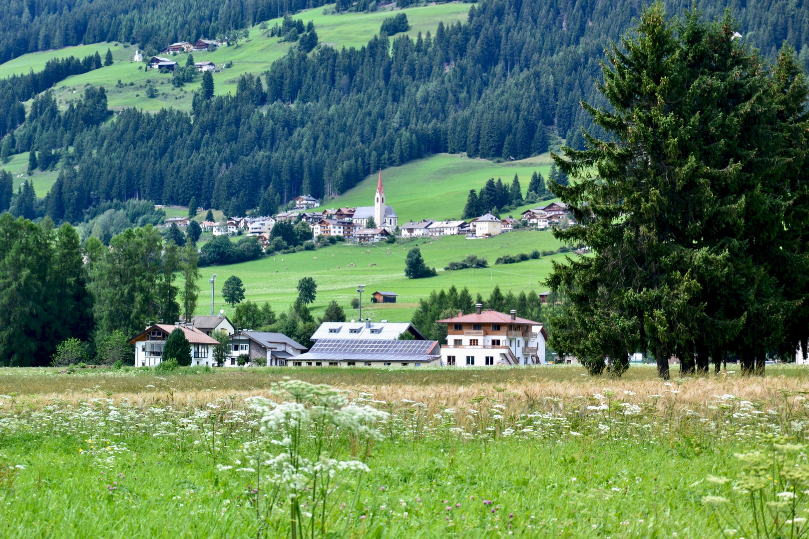 Blick auf Neutoblach…