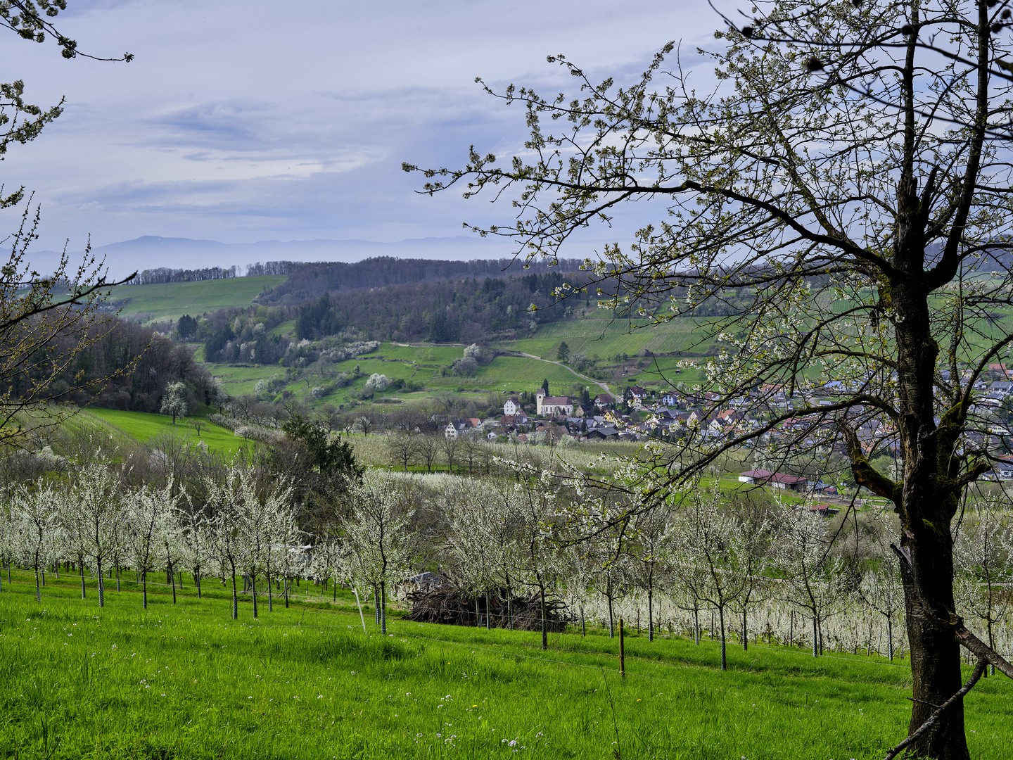 Blick auf Niedereggenen