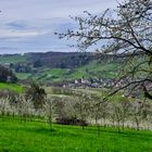 Blick auf Niedereggenen