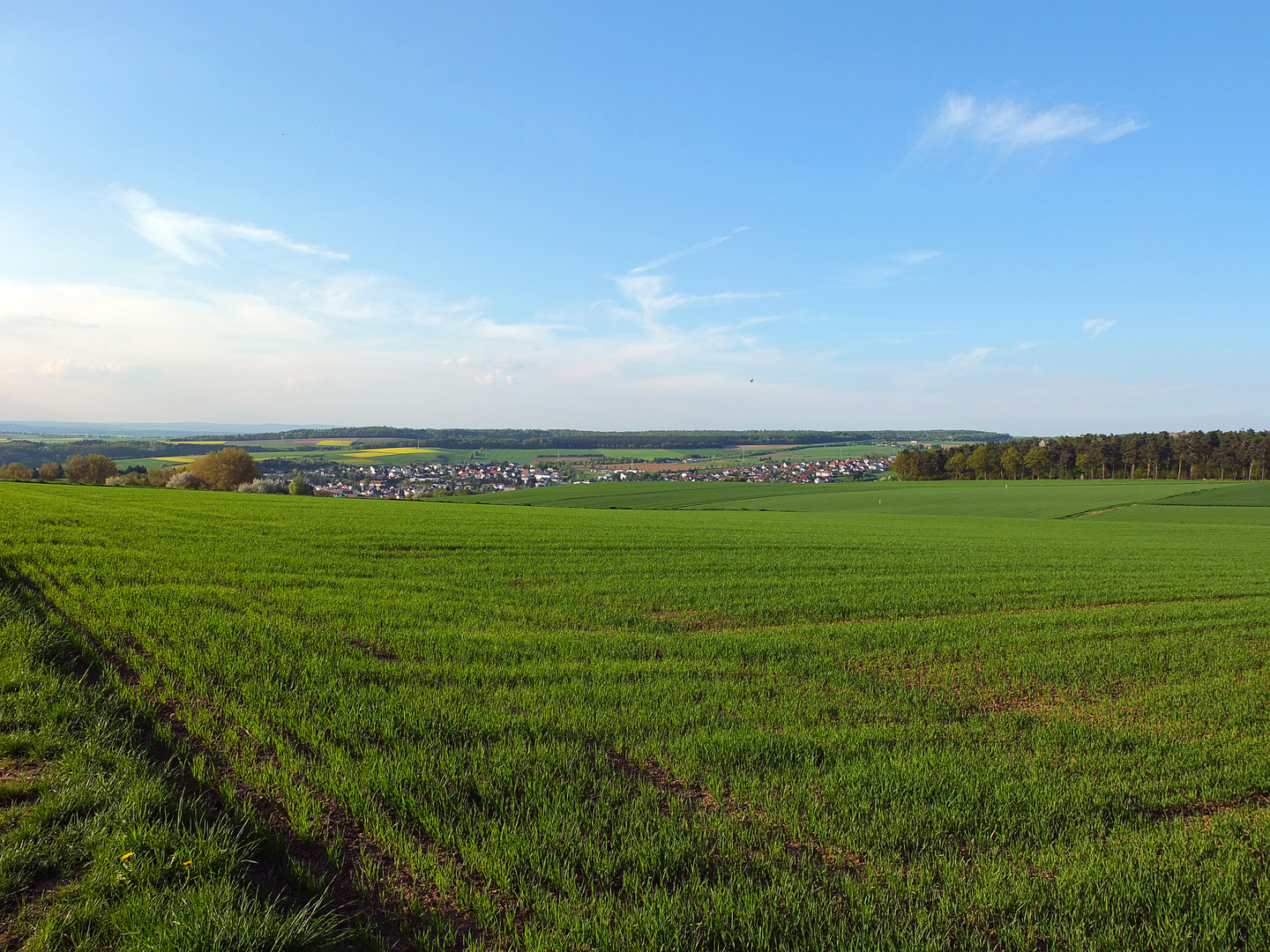 Blick auf Niederselters