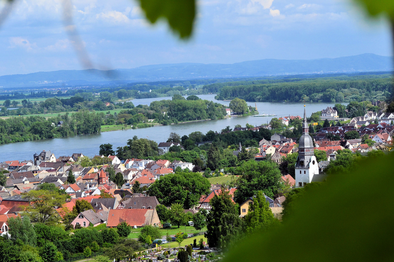 Blick auf Nierstein am Rhein