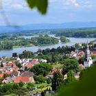 Blick auf Nierstein am Rhein