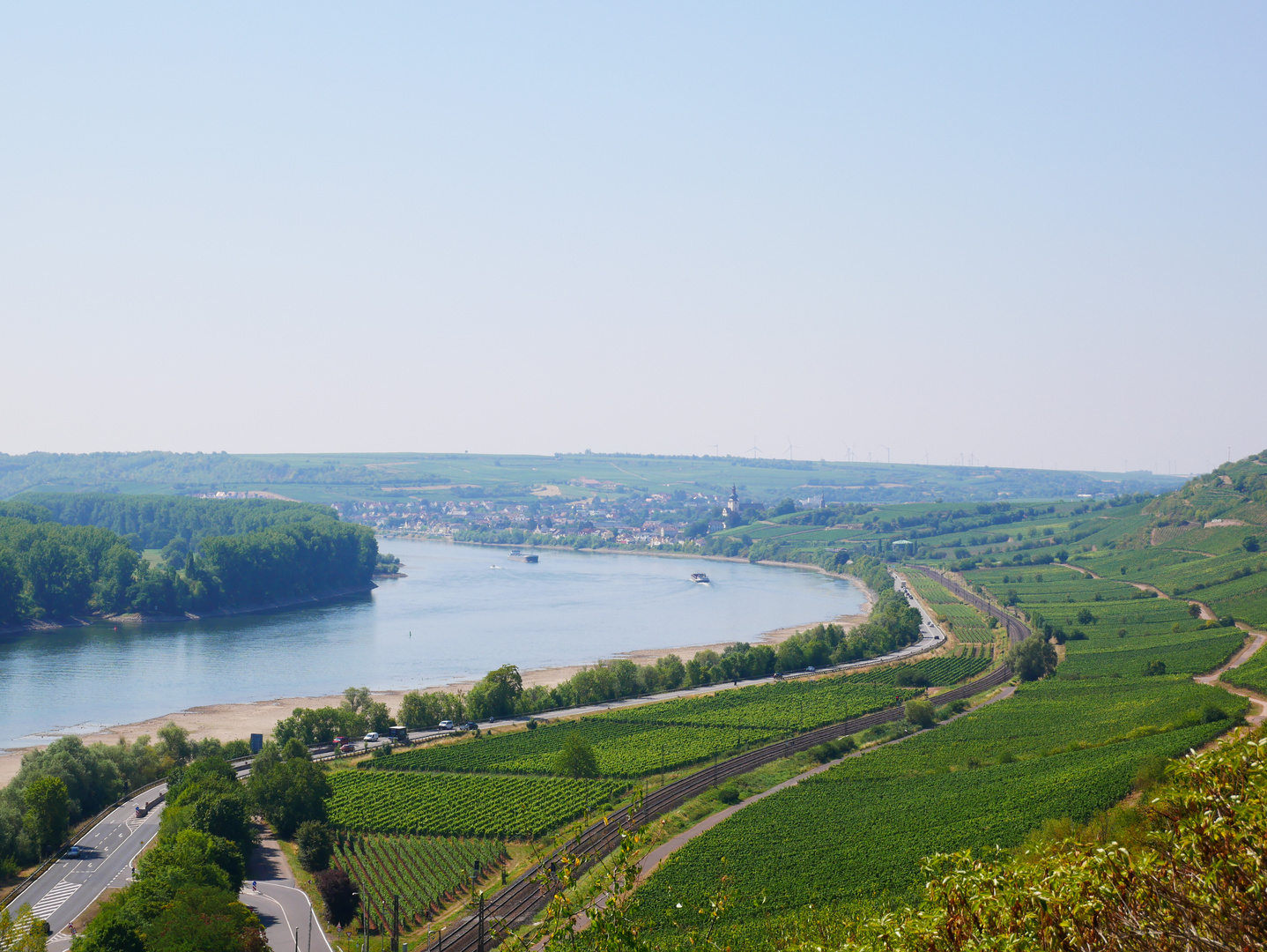 Blick auf Nierstein am Rhein