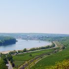 Blick auf Nierstein am Rhein