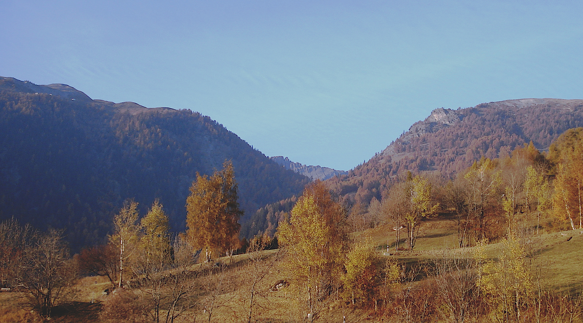 blick auf nivenalpe und alm obern