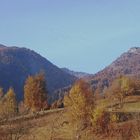 blick auf nivenalpe und alm obern