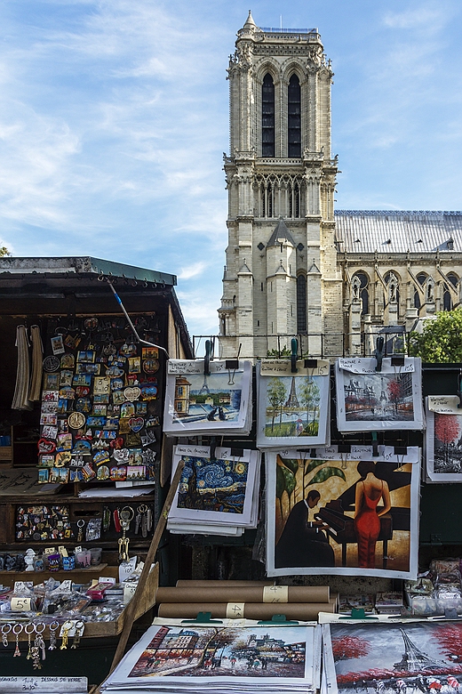 Blick auf Notre Dame