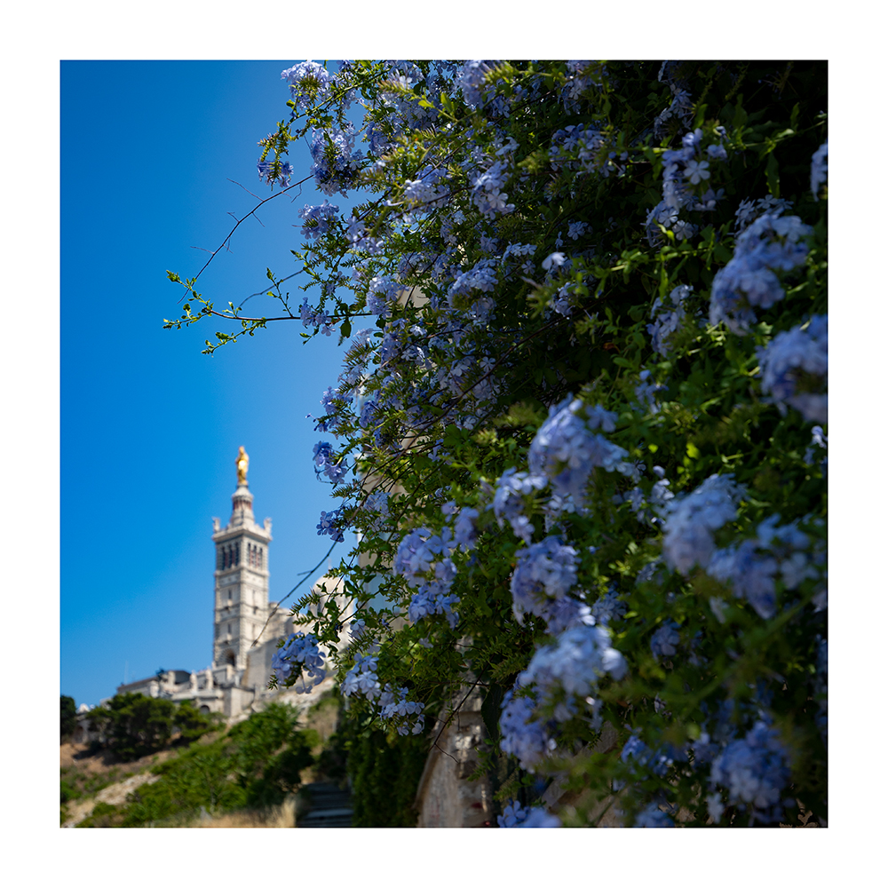 Blick auf Notre-Dame de la Garde