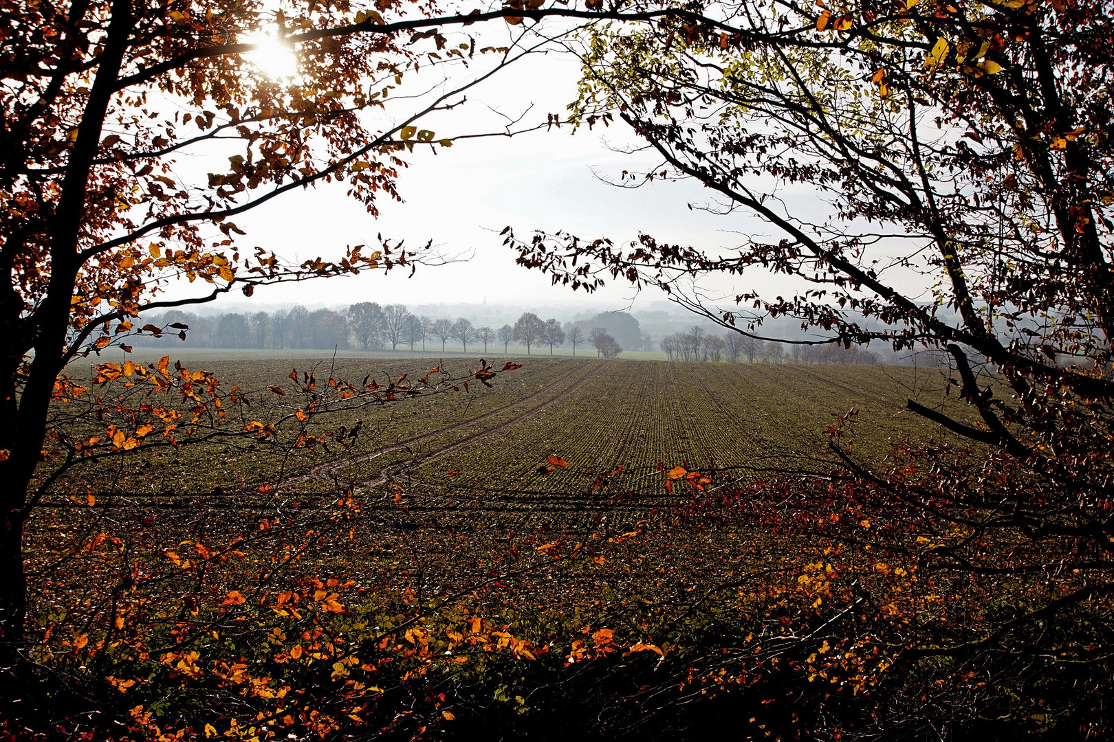 Blick auf Nottuln...