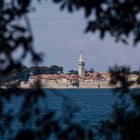 Blick auf Novigrad