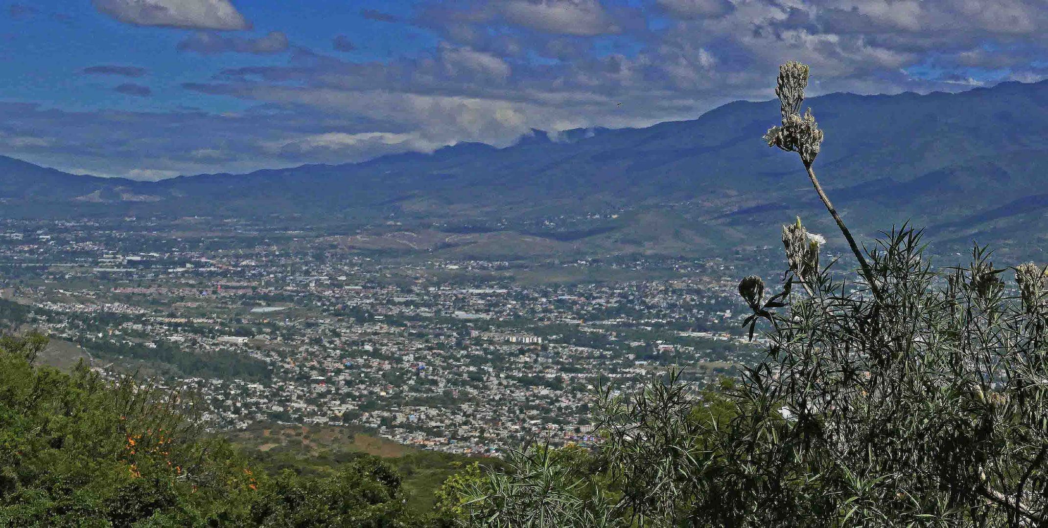 Blick auf Oaxaca