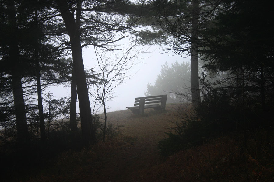 Blick auf Oberalba im Nebel...