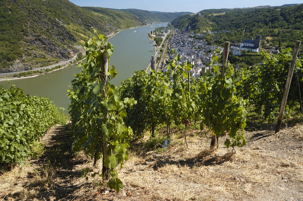 Blick auf Oberwesel II